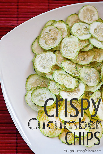 dried cucumber chips 