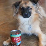 How to Have a Happier and Healthier Dog with ALPO® {Review} #Ad