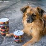 Flynn’s ALPO® Chop House Review #Ad