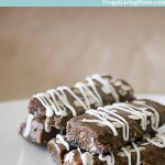 Oatmeal Cinnamon Raisin Protein Bars