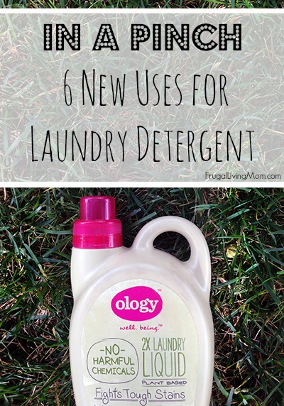  6 New Uses for Laundry Detergent 