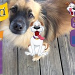 Fun and Free App from Blippar and Beggin’® Strips #Ad