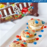 M&M’s Oatmeal Cookie Ice Cream Sandwiches