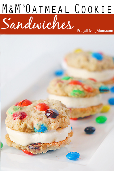 M&M's Oatmeal Cookie Ice Cream Sandwiches