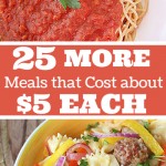 25 More Meals that Cost About $5 to Make