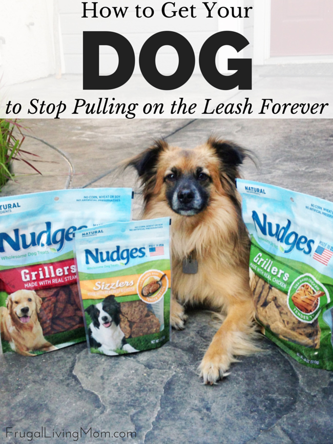How-to-Get-Your-Dog-to-Stop-Pulling-on-the-Leash2