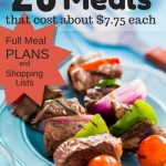 How To Make 20 Grilling Meals from Aldi for Only $155 (Full Meal Plan)