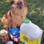 Chance to win $100 in Pet Food/Treats from Purina and Dollar General #ad