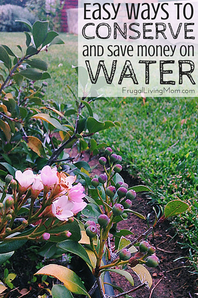 Easy-Ways-to-conserve-water