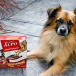 Win an Alpo Prize Pack and a $100 Dollar General giftcard (AD)