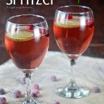 Cranberry Lime Spritzer